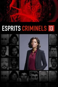 Esprits criminels - Saison 13
